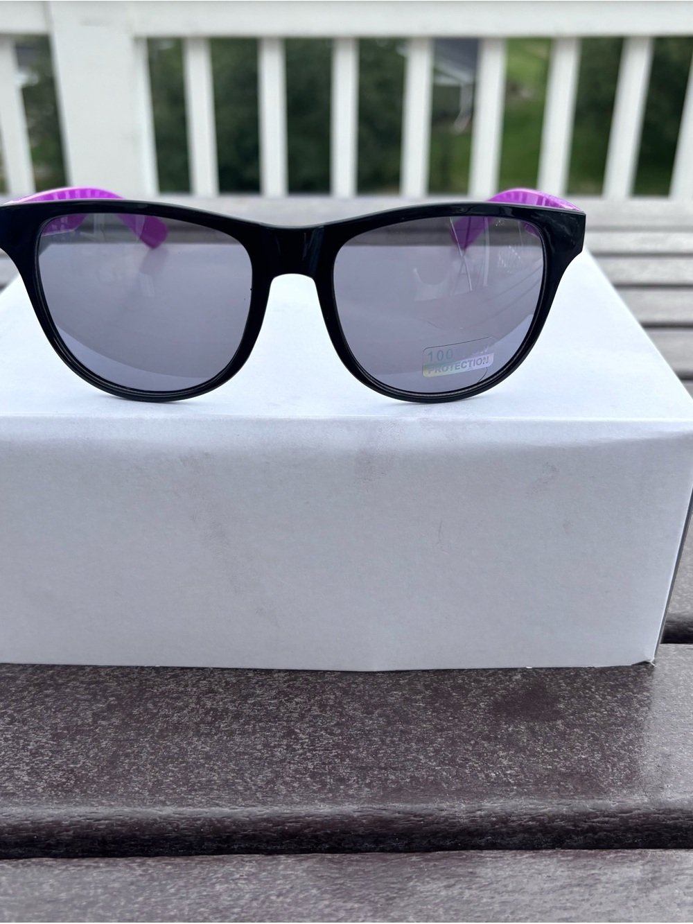 Women’s Black Frame Sunglasses with Purple Temples